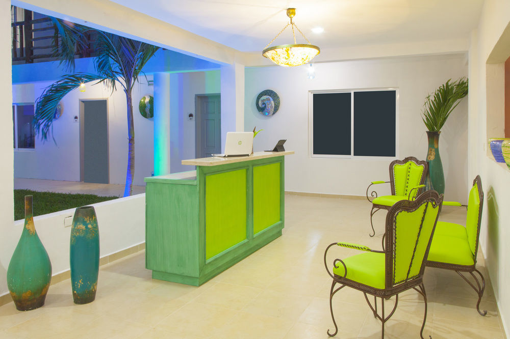 טולום Mestizo Gallery מראה חיצוני תמונה